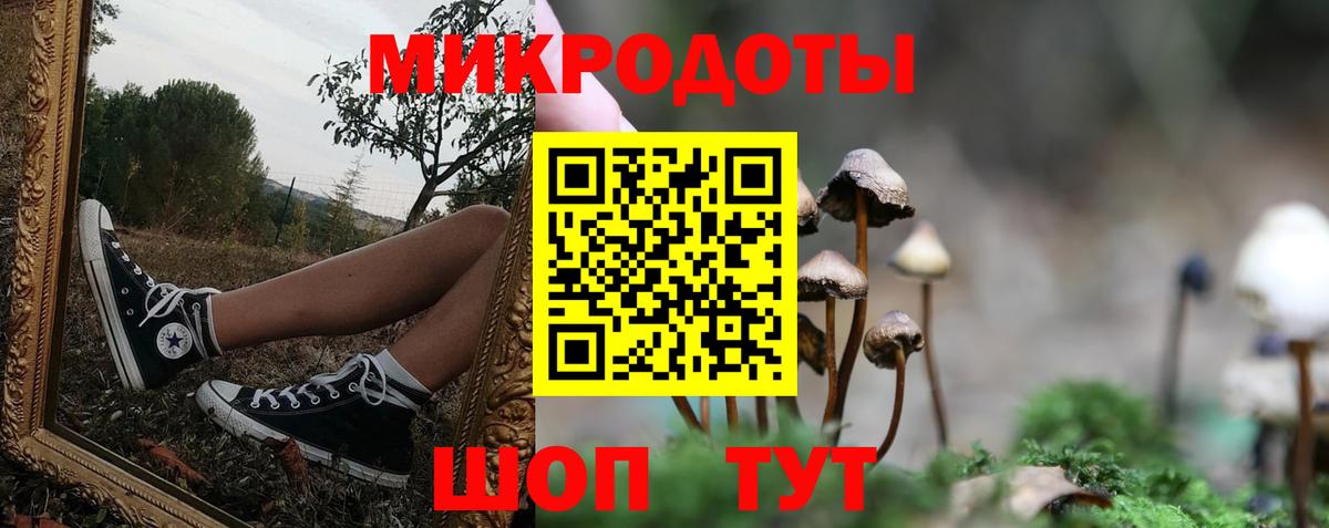 Псилоцибиновые грибы GOLDEN TEACHER  Вход с VPN  Жуковский 