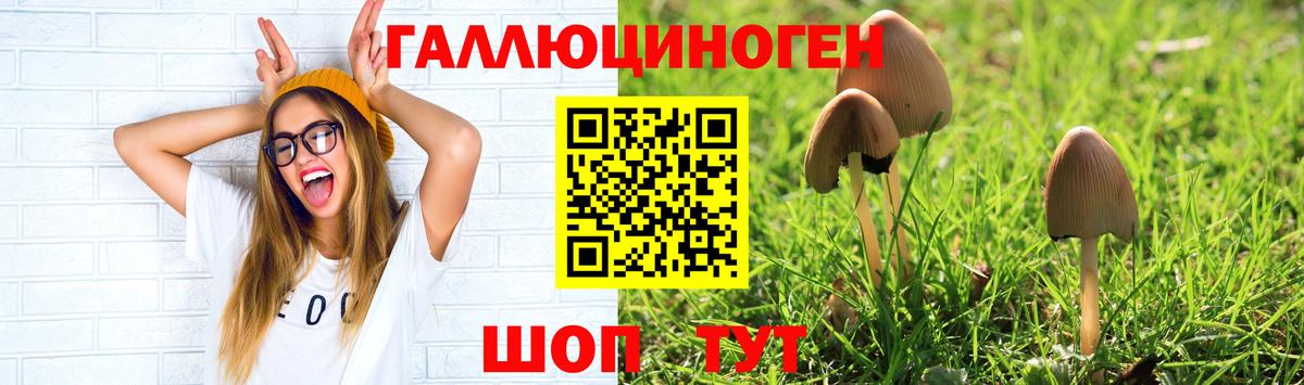 Галлюциногенные грибы Psilocybine cubensis Жуковский