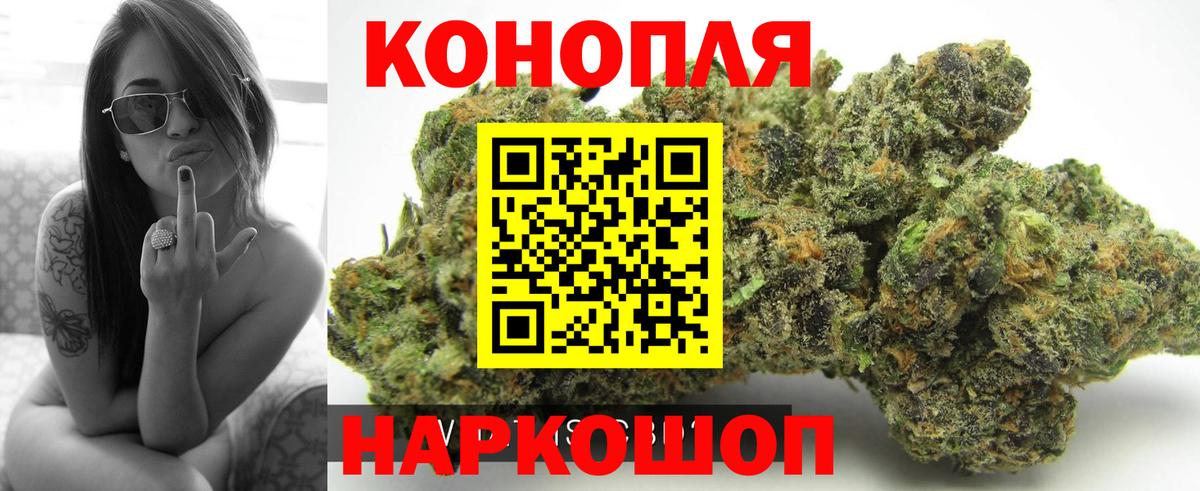 Бошки Шишки сатива  МАРИХУАНА семена  Жуковский  Бошки Шишки OG Kush  Вход с VPN 